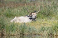 /album/foto-adriano/l4a0983-jpg/