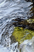 /album/foto-fiorella/5r-jpg/