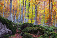 /album/foto-fiorella/11r-jpg/