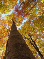 /album/foto-fiorella/12r-jpg/