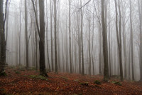 /album/foto-fiorella/13r-jpg/