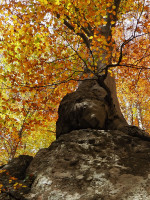 /album/foto-fiorella/14r-jpg/