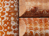 /album/foto-fiorella/15r-jpg/