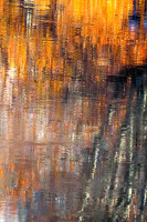 /album/foto-fiorella/17r-jpg/