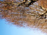 /album/foto-fiorella/18r-jpg/