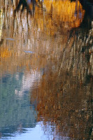 /album/foto-fiorella/19r-jpg/