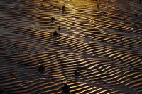 /album/foto-fiorella/21r-jpg/